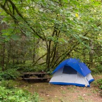 šotor, gozd, kampiranje