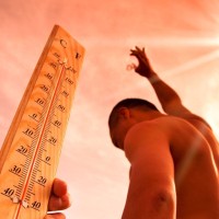vročina, vreme, moški, sonce, termometer
