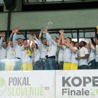 domzale pokal