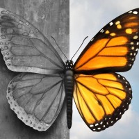 metulj, bipolarna motnja