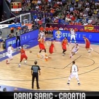 saric