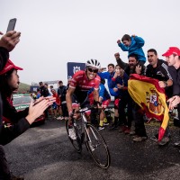 contador
