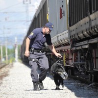 vlak, policija, policijski pes, iskanje