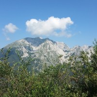 Slovenske gore so bile letos usodne za 18 oseb