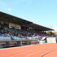 ptuj tribuna dw