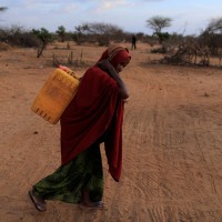 Ženska suša
