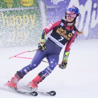 shiffrin1 mm