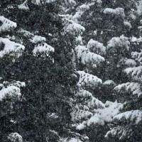 sneg, sneženje, simbolična