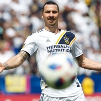 zlatan ibrahimovic