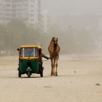 peščeni vihar, indija, ahmedabad