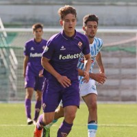 vitja valencic fiorentina