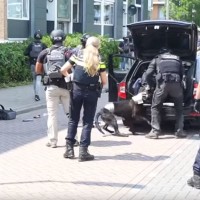 Nizozemska policija, policijski pes