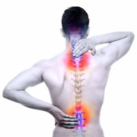 hrbet, bolečine v hrbtu