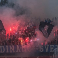 dinamo