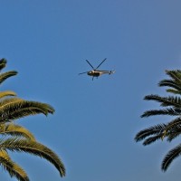 helikopter, palme