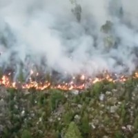 gozdni požar, švedska