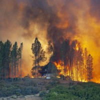 Kalifornija, Mendocino, gozdni požar avgust 2018