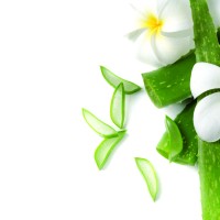 aloe vera prehrana_ThinkstockPhotos-905775490