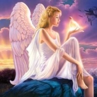 ženska angel