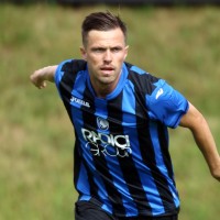 josip ilicic