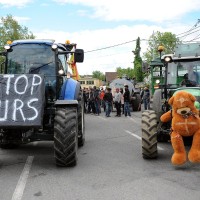 francoski kmetje, rejci ovac, protest proti medvedom