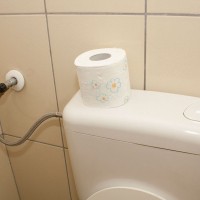 wc, stranišče, toaletni papir