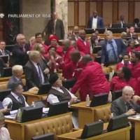 juznoafriski parlament pretep