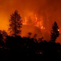 kalifornija požar