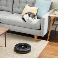 e5_Charcoal_Photo_Lifestyle_LivingRoom_Cat