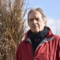 miha brejc bobo1.jpg