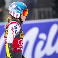 shiffrin