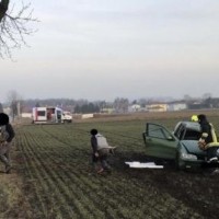 wullersdorf, drevo, prometna nesreča