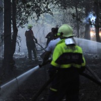 gasilci gozdni pozar bobo1