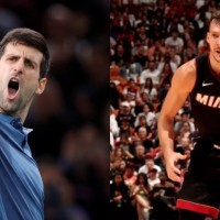 nole dragic