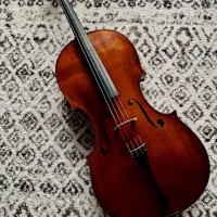violončelo, ukradeno