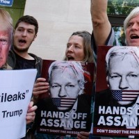 assange profimedia-0439780170