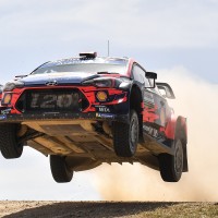 dani sordo