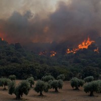 požar toledo španija