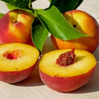 breskve peach-2573836_1920