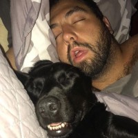 pes, lastnik twitter sleeping-lab-and-owner