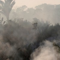 Humaita, požar, amazonski pragozd