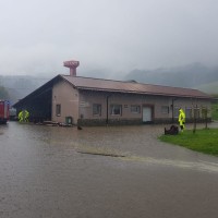 muta, poplave, 24.8.2019