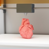 3D-Printed-heart