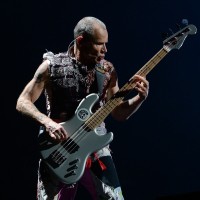 flea