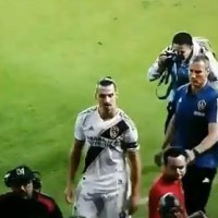 zlatan ibrahimovic