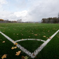 trening stožice