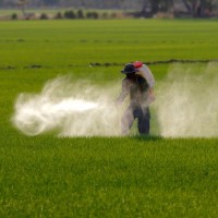 pesticid, herbicid, škropljenje