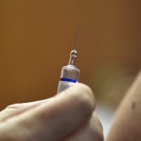 cepivo gripa bobo