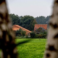 Ruinerwold, kmetija