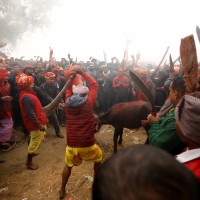Žrtvovanje v okviru festivala Gadhimai v Nepalu